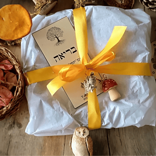 תמונה מהבלוג