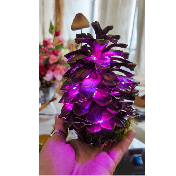 תמונה מהבלוג