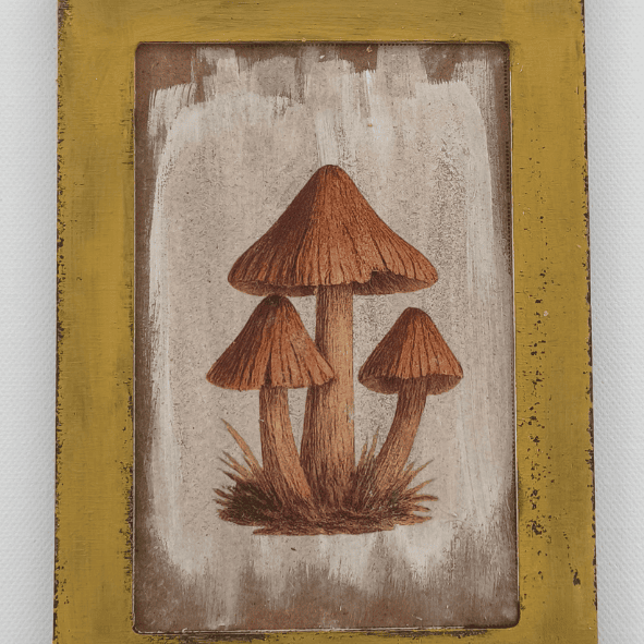 פטריות פוטו טרנספר