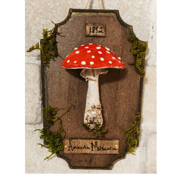 אמניטה מוסגריה בעבודת יד