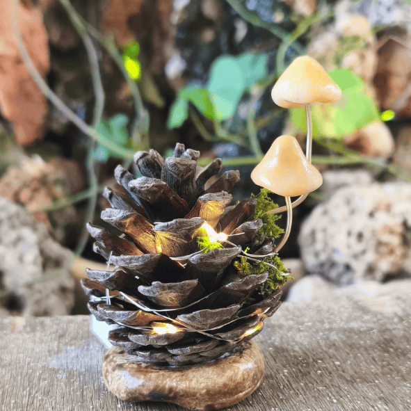 אצטרובל מואר עם פטריות