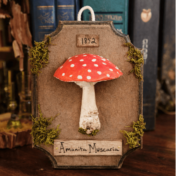 אמניטה בעבודת יד מונחת על מדף