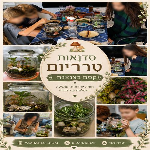 פלאייר סדנאות טרריום