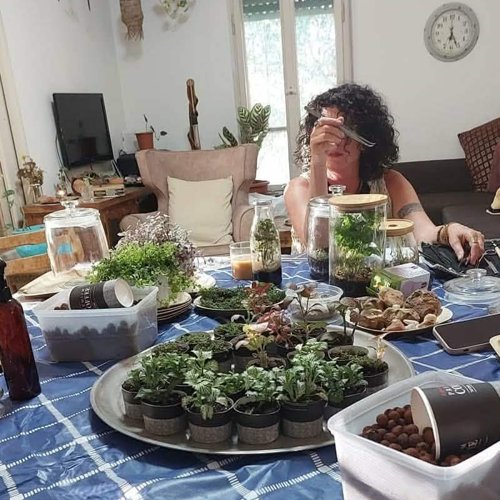 סדנת טרריום